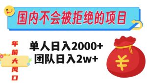 在国内不怕被拒绝的项目,单人日入2000,团队日入20000+【揭秘】-第一资源网