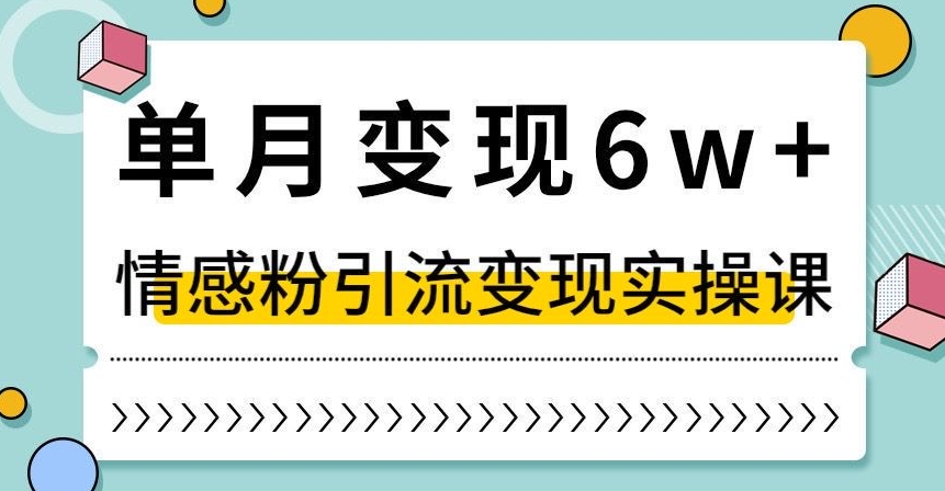 单月变现6W+，抖音情感粉引流变现实操课，小白可做，轻松上手，独家赛道【揭秘】-第一资源网