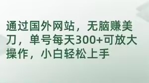 通过国外网站，无脑赚美刀，单号每天300+可放大操作，小白轻松上手【揭秘】-第一资源网