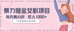 年底暴力女粉掘金项目5天变现1.5W+【揭秘】-第一资源网