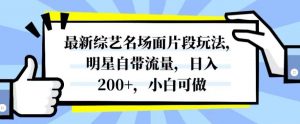 最新综艺名场面片段玩法,明星自带流量,日入200+,小白可做【揭秘】-第一资源网