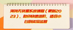 淘特无货源系统课程(更新2023),助你快速进阶,适合小白到资深运营-第一资源网