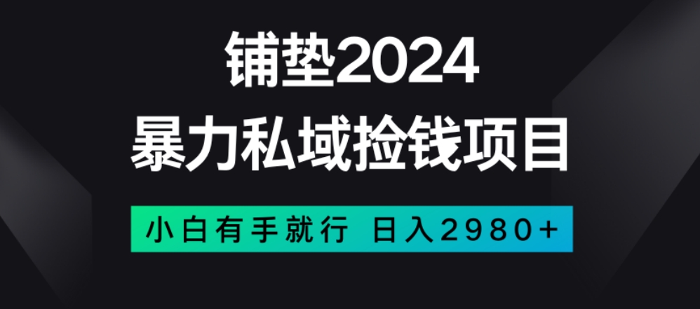 暴力私域捡钱项目，小白无脑操作，日入2980【揭秘】-第一资源网