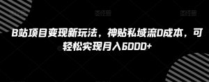 B站项目变现新玩法,神贴私域流0成本,可轻松实现月入6000+【揭秘】-第一资源网