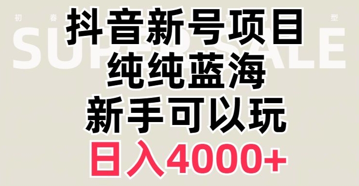 抖音蓝海赛道，必须是新账号，日入4000+【揭秘】-第一资源网