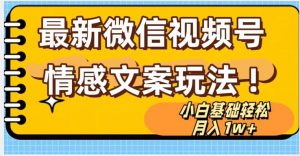 微信视频号情感文案最新玩法,小白轻松月入1万+无脑搬运【揭秘】-第一资源网