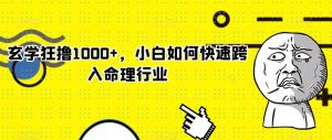 玄学狂撸1000+,小白如何快速跨入命理行业【揭秘】-第一资源网