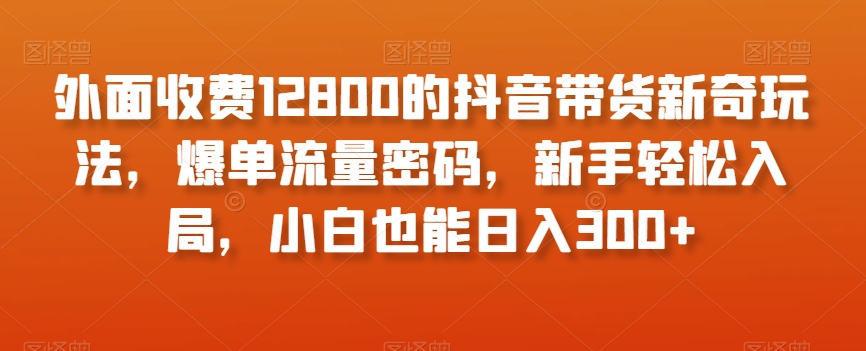 外面收费12800的抖音带货新奇玩法，爆单流量密码，新手轻松入局，小白也能日入300+【揭秘】-第一资源网