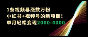 1条视频暴涨数万粉–小红书+视频号的新项目!单月轻松变现2000-4000【揭秘】-第一资源网