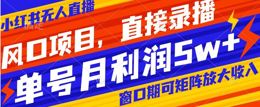 风口项目，小红书无人直播带货，直接录播，可矩阵，月入5w+【揭秘】-第一资源网