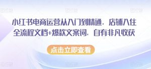 小红书电商运营从入门到精通,店铺入住全流程文档+爆款文案词,自有非凡收获-第一资源网