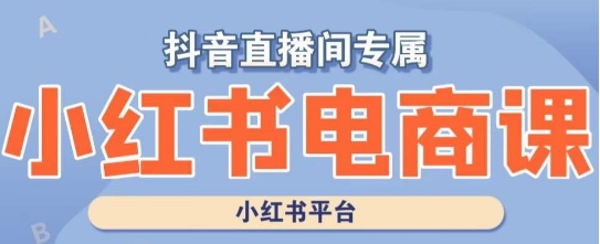 小红书电商高级运营课程，实操教学+案例分析-第一资源网