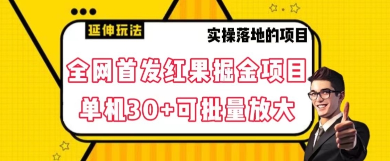 全网首发红果免费短剧掘金项目，单机30+可批量放大【揭秘】-第一资源网