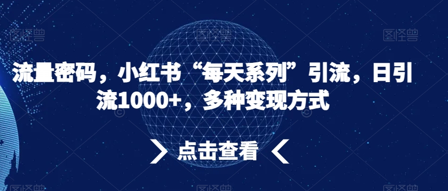 流量密码，小红书“每天系列”引流，日引流1000+，多种变现方式【揭秘】-第一资源网