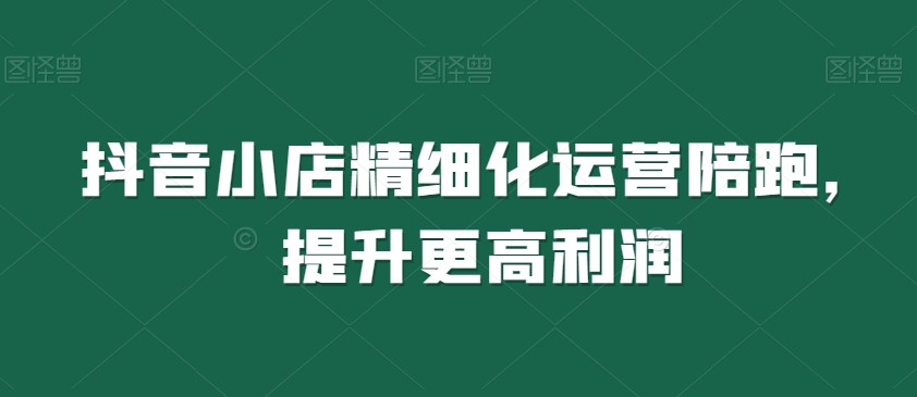 抖音小店精细化运营陪跑，提升更高利润-第一资源网