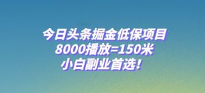今日头条掘金低保项目,8000播放=150米,小白副业首选【揭秘】-第一资源网