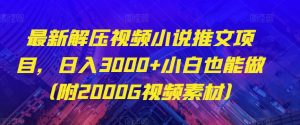 最新解压视频小说推文项目,日入3000+小白也能做(附2000G视频素材)【揭秘】-第一资源网