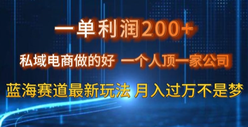 一单利润200私域电商做的好，一个人顶一家公司蓝海赛道最新玩法【揭秘】-第一资源网