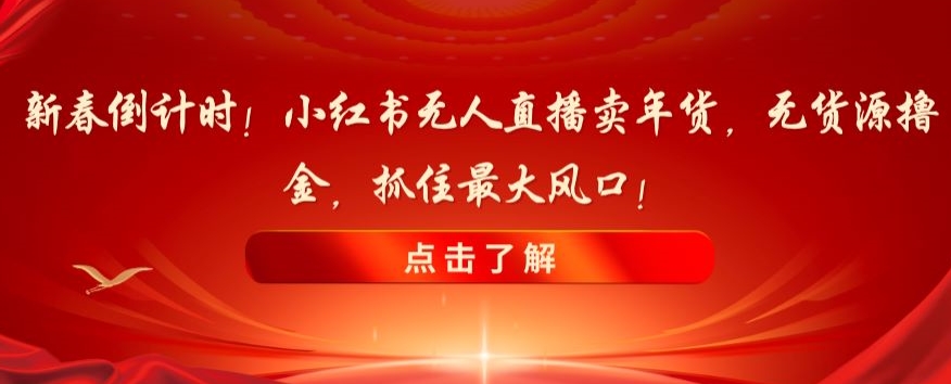 新春倒计时！小红书无人直播卖年货，无货源撸金，抓住最大风口【揭秘】-第一资源网