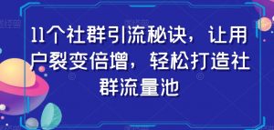 11个社群引流秘诀,让用户裂变倍增,轻松打造社群流量池-第一资源网