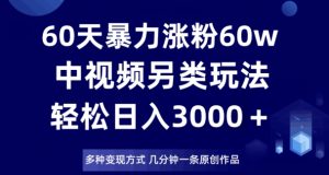 60天暴力涨粉60W,中视频另类玩法,日入3000+,几分钟一条原创作品多种变现方式-第一资源网