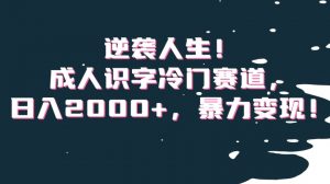 逆袭人生!成人识字冷门赛道,日入2000+,暴力变现!【揭秘】-第一资源网