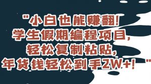 小白也能赚翻!学生假期编程项目,轻松复制粘贴,年货钱轻松到手2W+【揭秘】-第一资源网