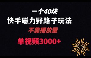 一个40块,快手联合美团磁力新玩法,无视机制野路子玩法,单视频收益4位数【揭秘】-第一资源网