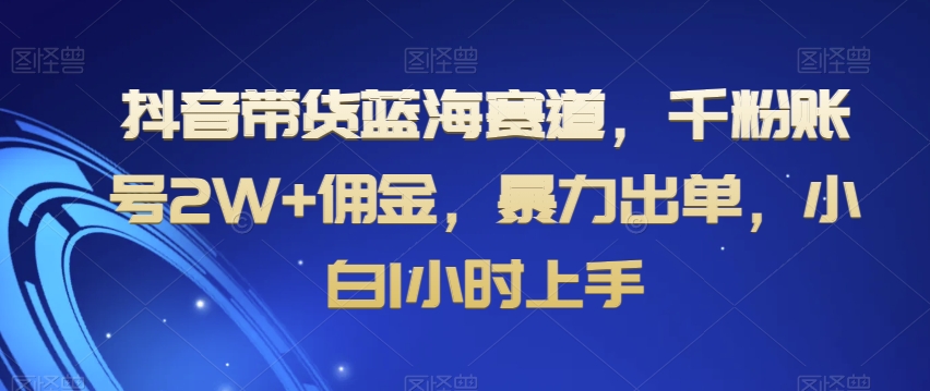 抖音带货蓝海赛道，千粉账号2W+佣金，暴力出单，小白1小时上手【揭秘】-第一资源网