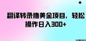翻译转录撸美金项目,轻松操作日入300+【揭秘】-第一资源网