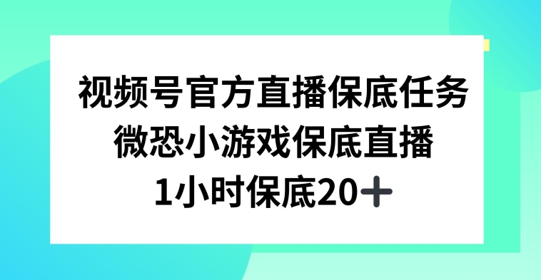 视频号直播任务，微恐小游戏，1小时20+【揭秘】-第一资源网