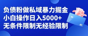 负债粉私域暴力掘金,小白操作入5000,无经验限制,无条件限制【揭秘】-第一资源网