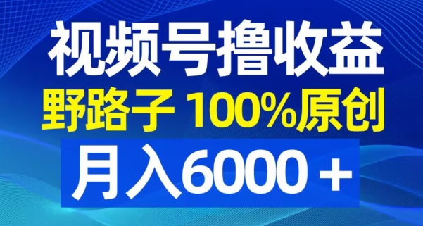 视频号野路子撸收益，100%原创，条条爆款，月入6000＋【揭秘】-第一资源网