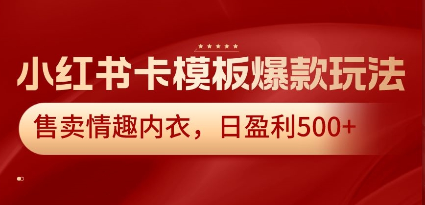 小红书卡模板爆款玩法，售卖情趣内衣，日盈利500+【揭秘】-第一资源网