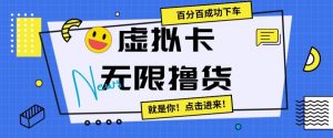 虚拟卡无限撸货,百分百成功下车【仅揭秘】-第一资源网