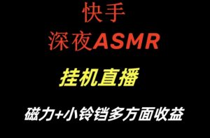 快手深夜ASMR挂机直播，磁力+小铃铛收益（附带工具和5G素材）【揭秘】-第一资源网