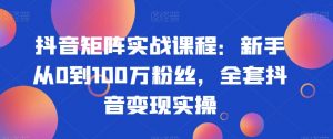抖音矩阵实战课程：新手从0到100万粉丝，全套抖音变现实操-第一资源网