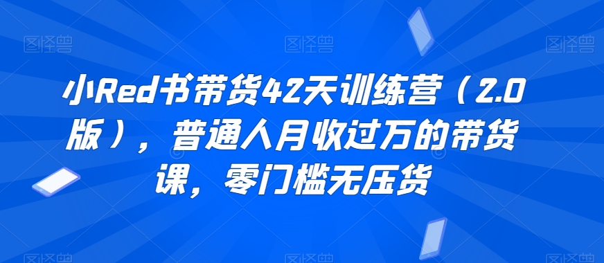 小Red书带货42天训练营（2.0版），普通人月收过万的带货课，零门槛无压货-第一资源网