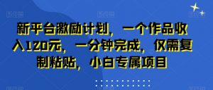 AI动漫美女跳舞视频,无脑搬运原创视频,多项引流方式【揭秘】-第一资源网