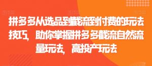 拼多多从选品到截流到付费的玩法技巧,助你掌握拼多多截流自然流量玩法,高投产玩法-第一资源网