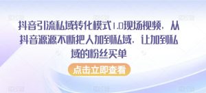 抖音引流私域转化模式1.0现场视频,从抖音源源不断把人加到私域,让加到私域的粉丝买单-第一资源网