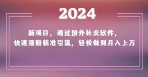 2024新项目,通过国外社交软件,快速涨粉精准引流,轻松做到月入上万【揭秘】-第一资源网