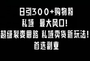 日引300+购物粉,超级裂变思路,私域卖货新玩法,小红书首选副业【揭秘】-第一资源网