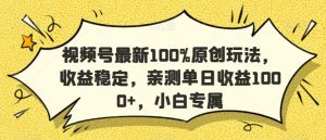 视频号最新100%原创玩法，收益稳定，亲测单日收益1000+，小白专属【揭秘】-第一资源网
