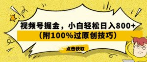视频号掘金,小白轻松日入800+(附100%过原创技巧)【揭秘】-第一资源网