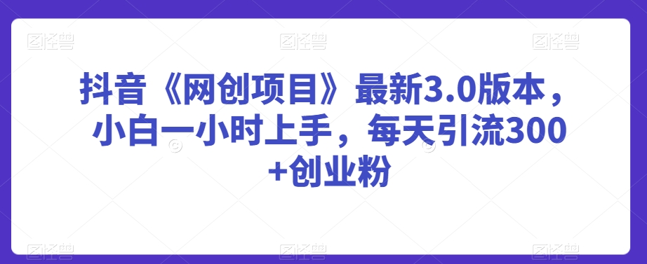 抖音《网创项目》最新3.0版本，小白一小时上手，每天引流300+创业粉【揭秘】-第一资源网