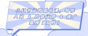 小红书运营成长课,写作入门&内容运营&接广变现【文档】-第一资源网