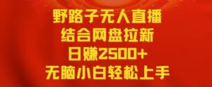 野路子无人直播结合网盘拉新,日赚2500+,小白无脑轻松上手【揭秘】-第一资源网