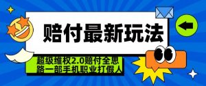 超级维权2.0全新玩法,2024赔付全思路职业打假一部手机搞定【仅揭秘】-第一资源网