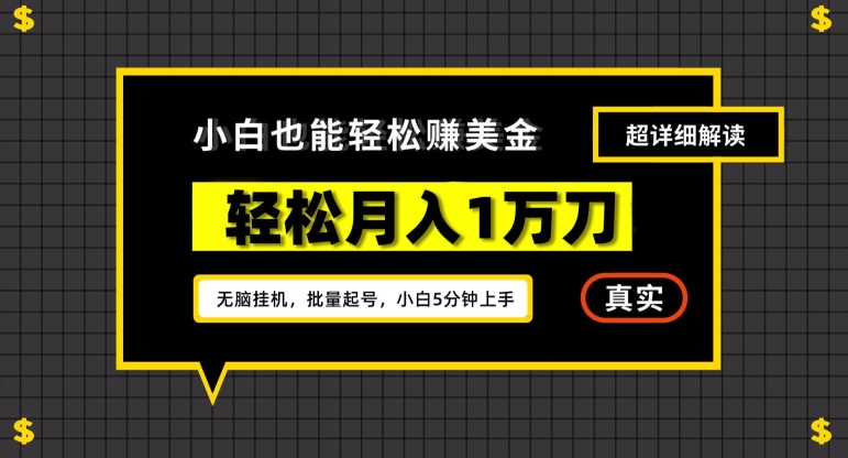 谷歌看广告撸美金2.0，无脑挂机，多号操作，月入1万刀【揭秘】-第一资源网